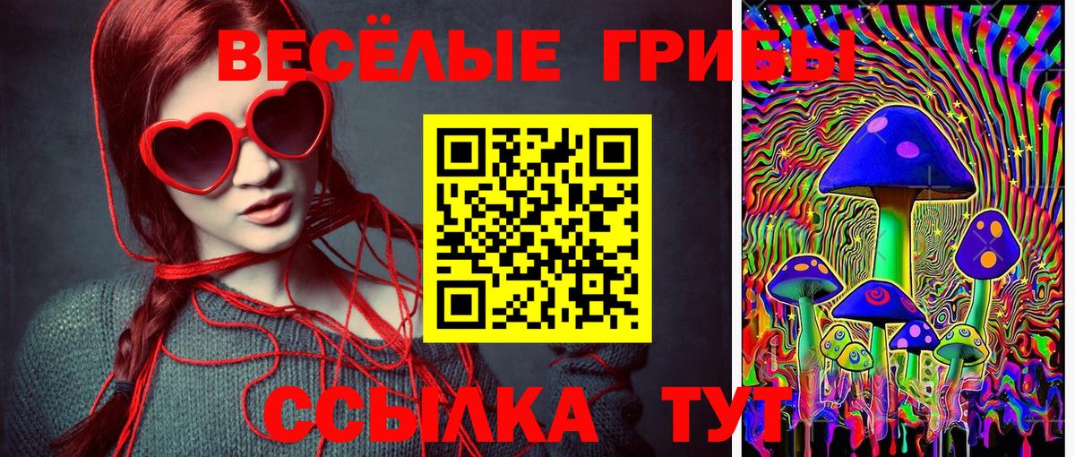 Галлюциногенные грибы прущие грибы Отрадный