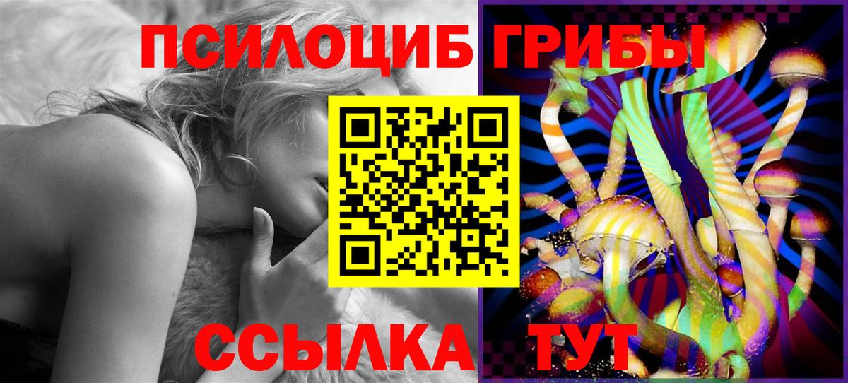 купить наркоту  Псилоцибиновые грибы Psilocybine cubensis  Вход с VPN  Отрадный  Псилоцибиновые грибы прущие грибы 