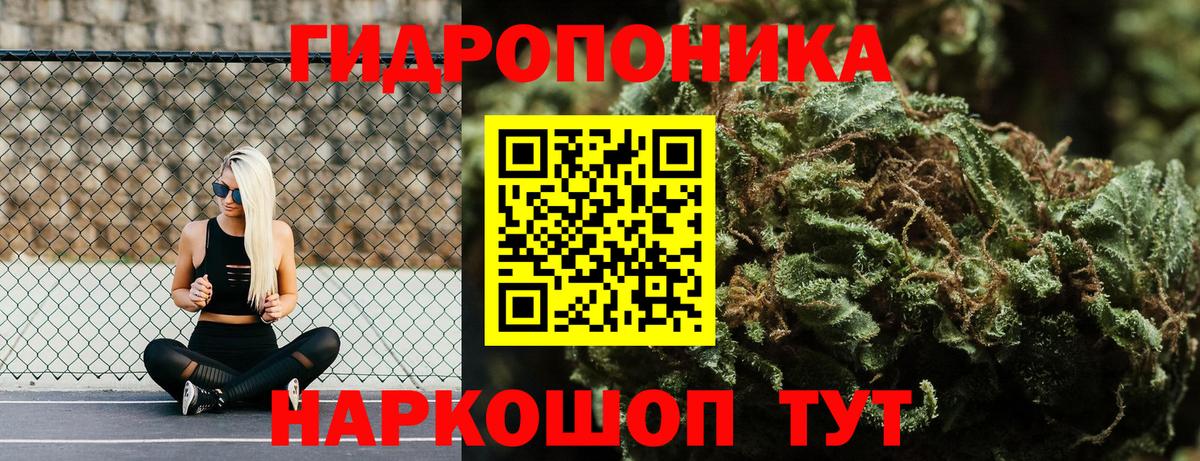 Бошки марихуана гибрид Отрадный